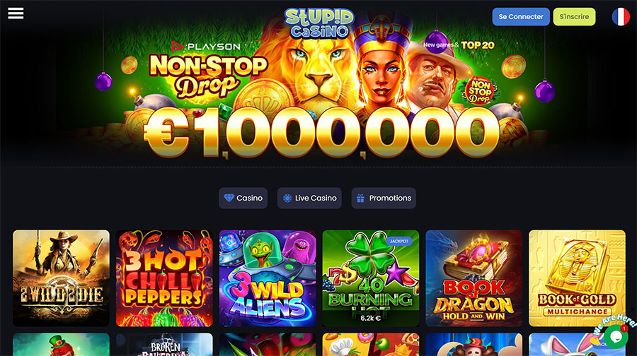 La page d'accueil stupid casino accueil